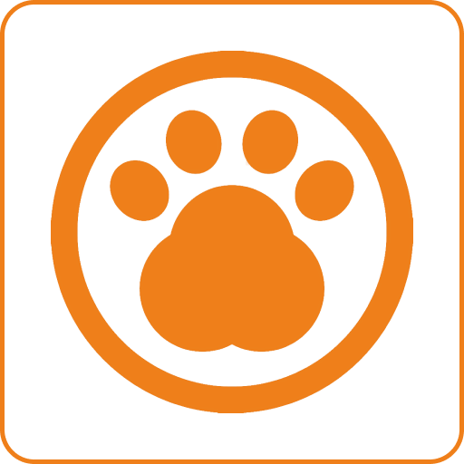 Можно с животными